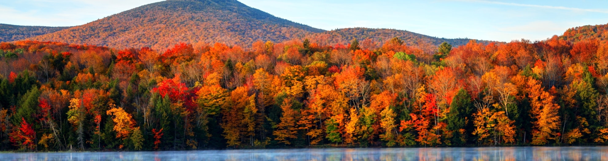 Fall Woods Reflected In Water